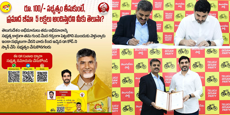 TDP Insurance Scheme